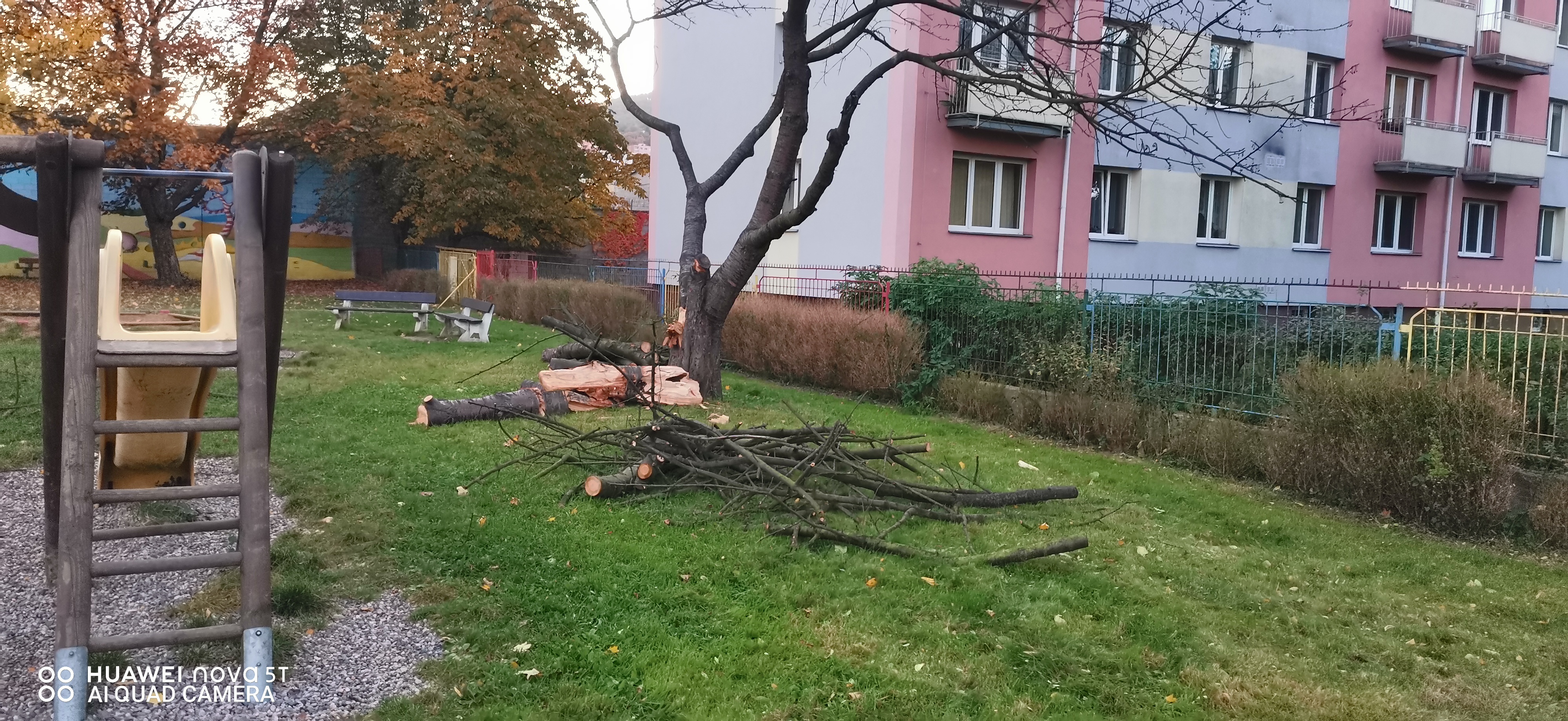 img 20211022 073459 | WebJET CMS Havarijní stav stromu na hřišti Na Pile