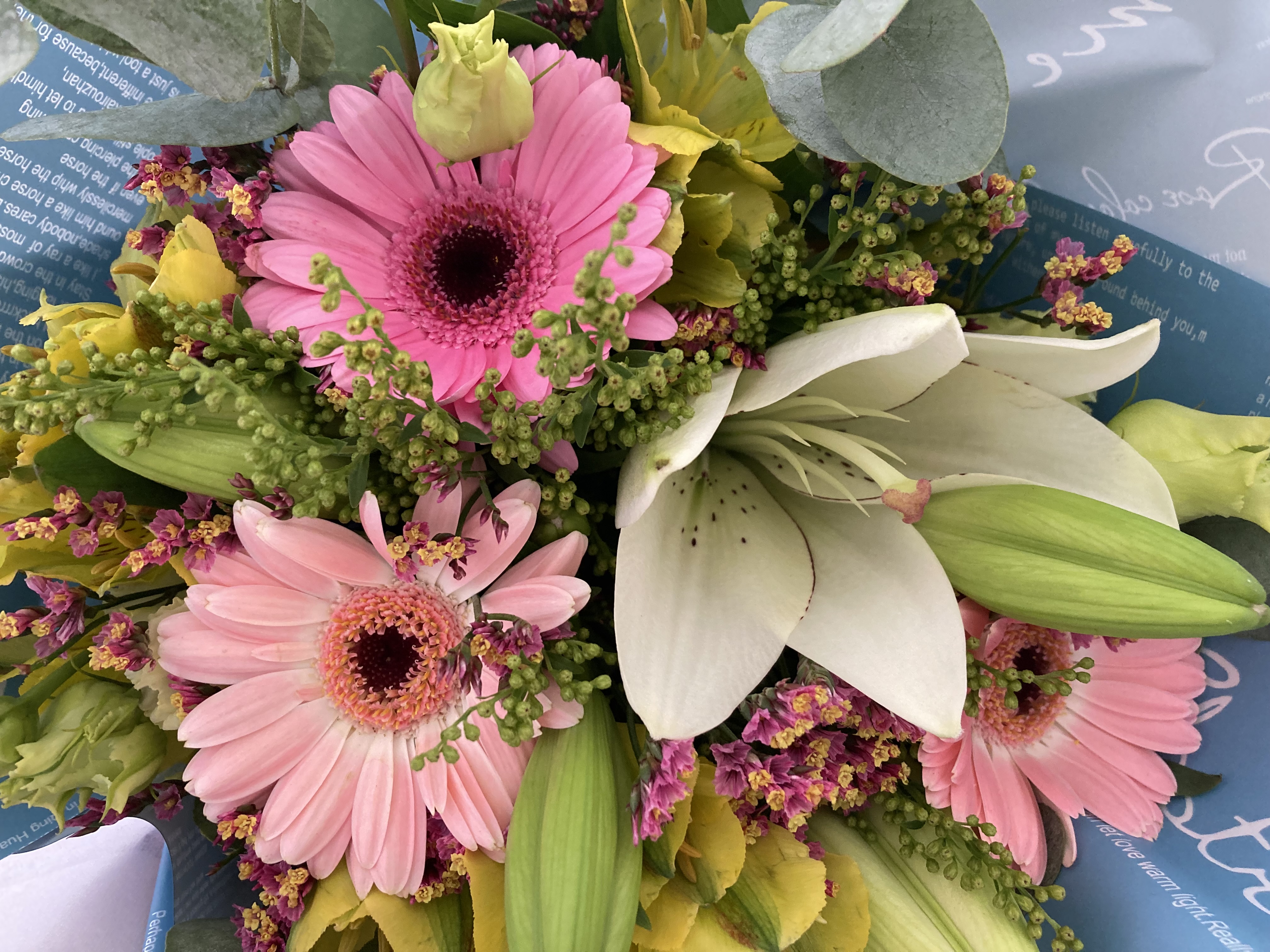 rohanova vlasta 96 let 1 | WebJET CMS